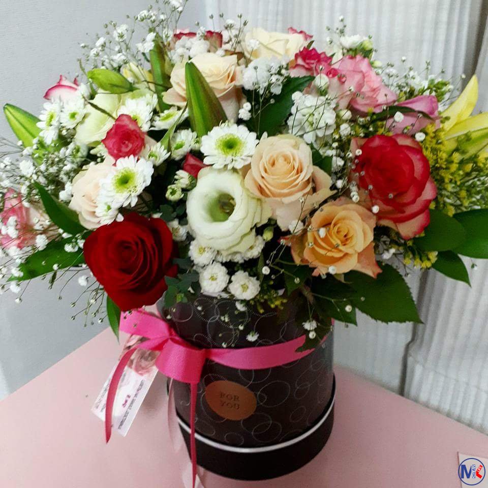 ???????? ?????? ?? ?.?????