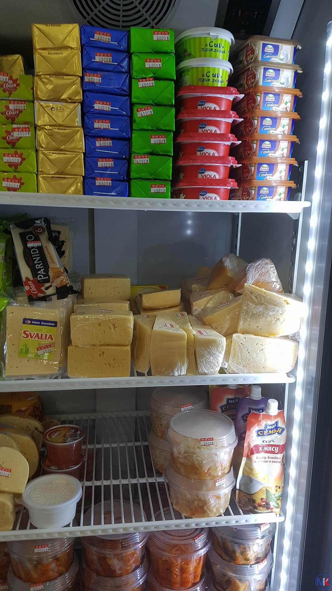 ????????? (???? - ???????)