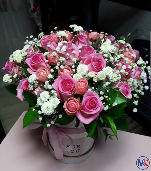 ???????? ?????? ?? ?.?????