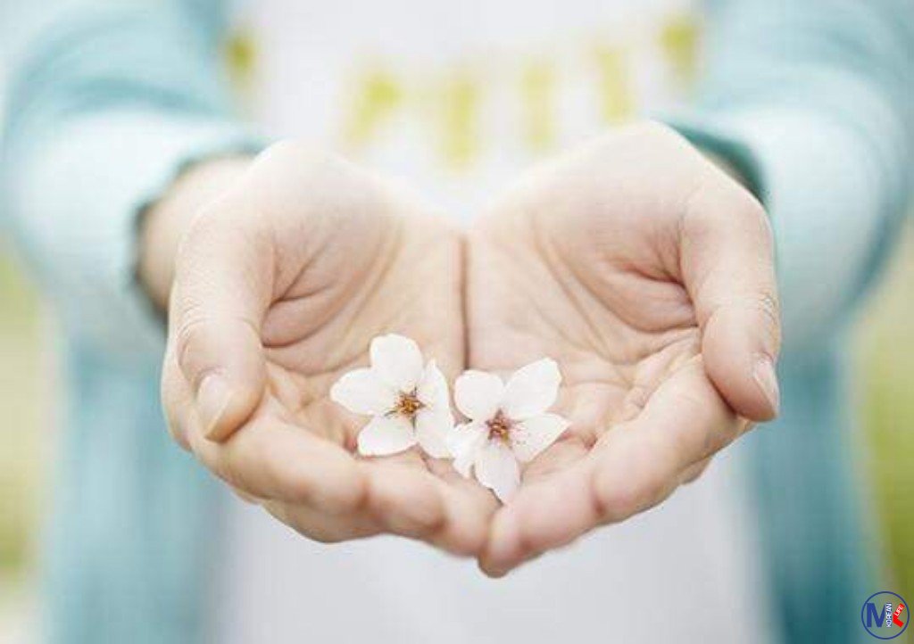 Kyobo Life Insurance (????????)