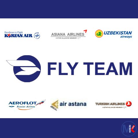 Fly Team