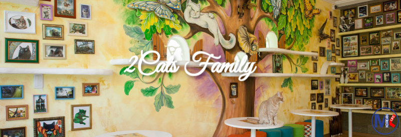2Cats cafe