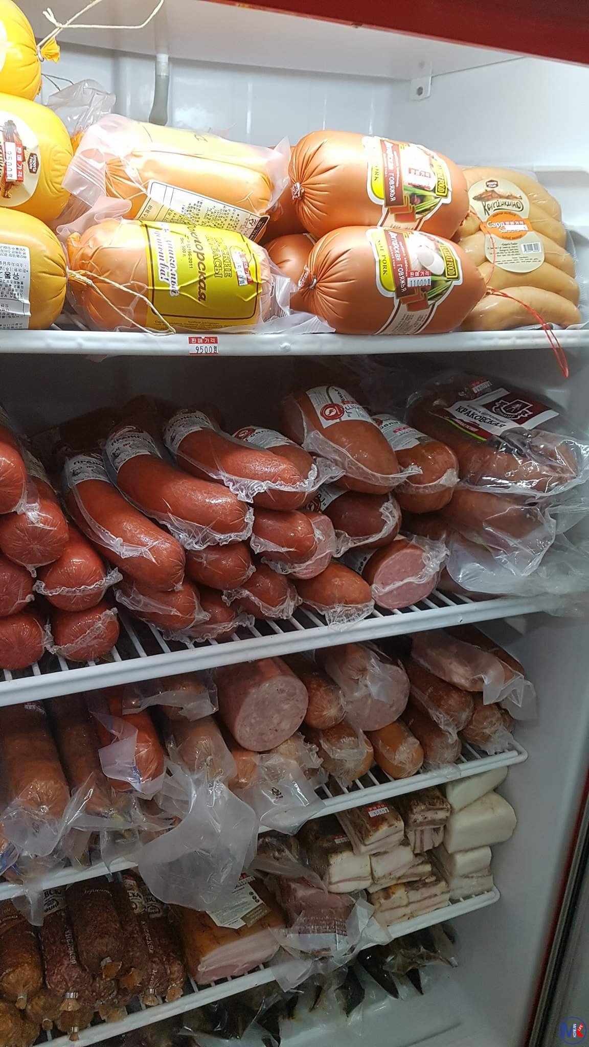 ????????? (???? - ???????)