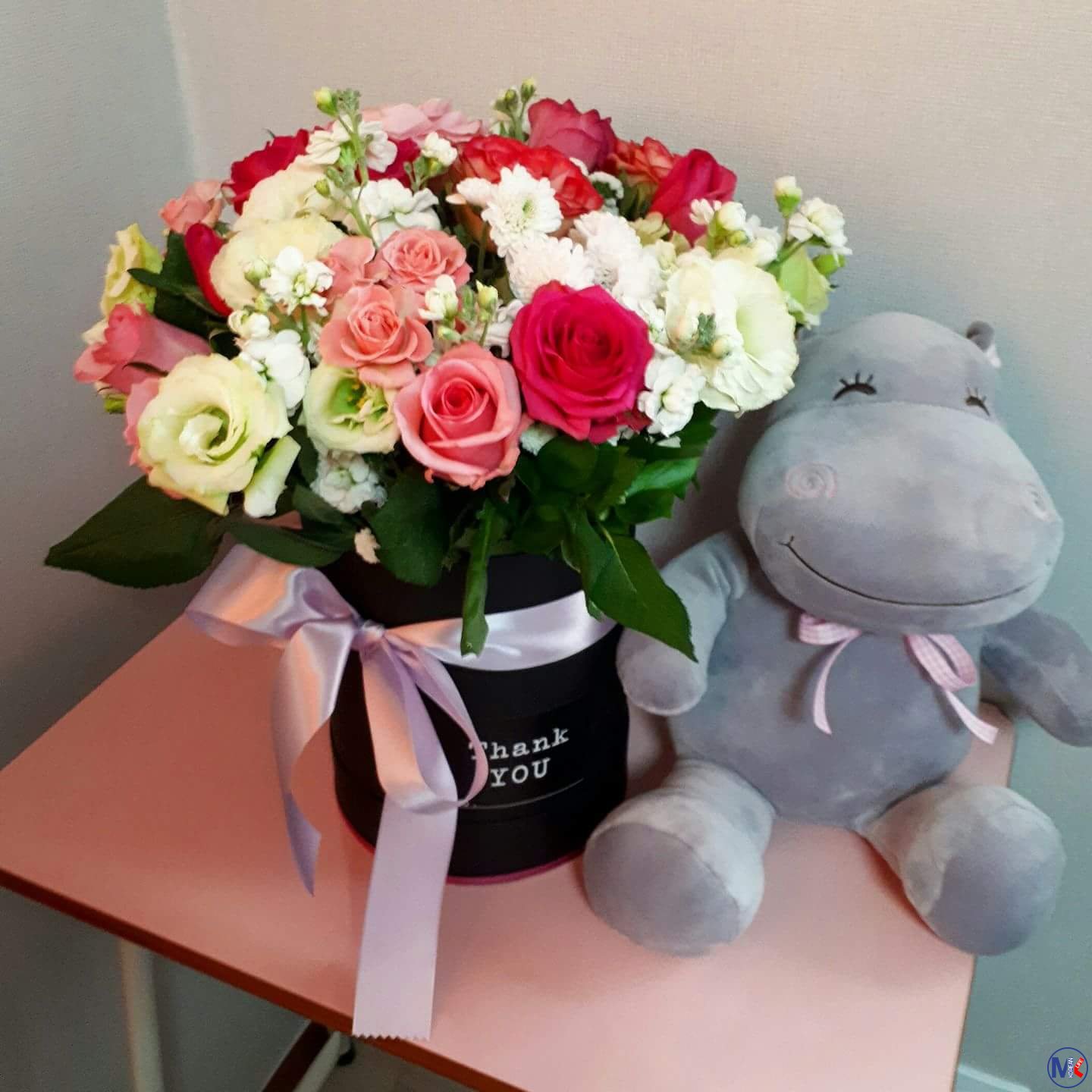 ???????? ?????? ?? ?.?????