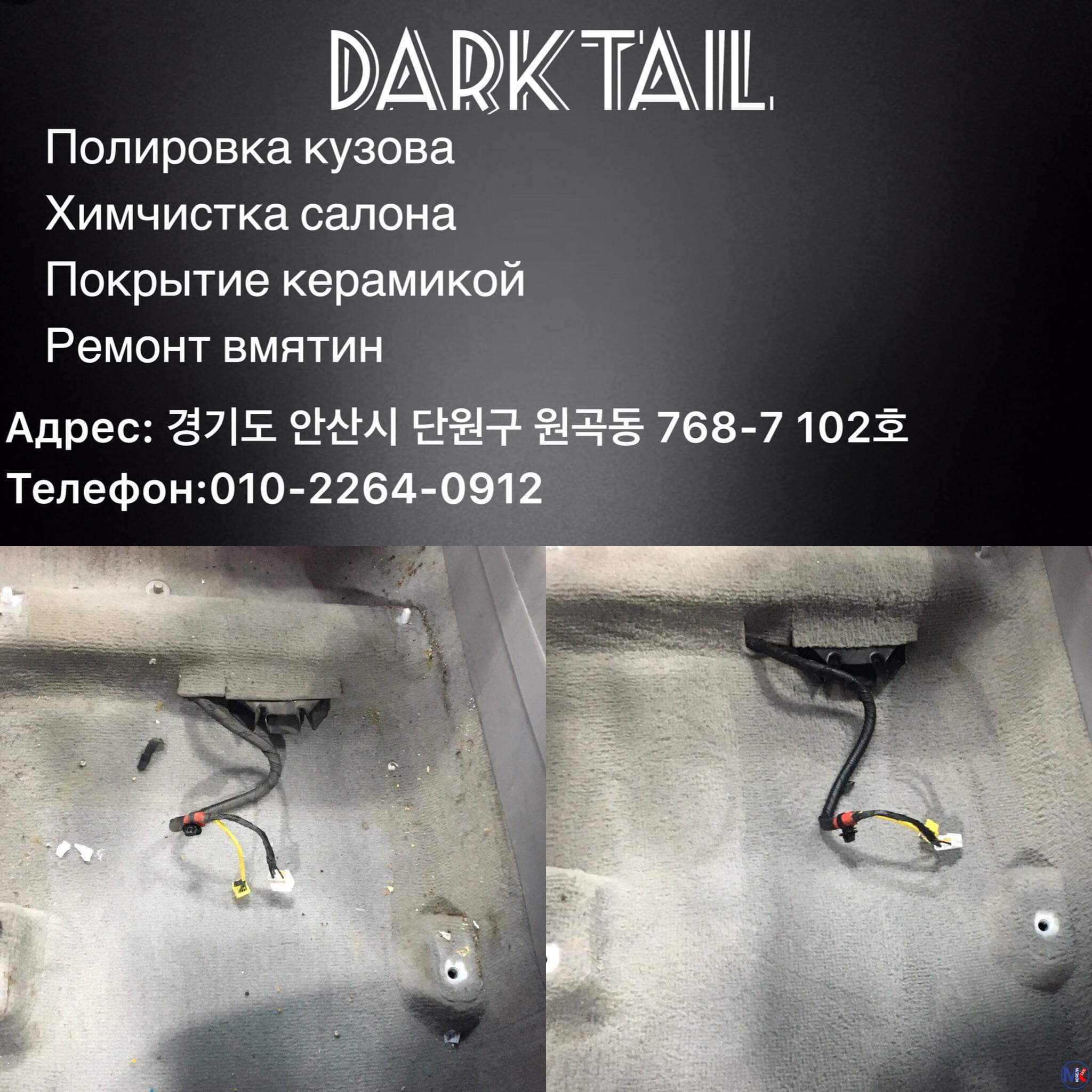 DARKTAIL