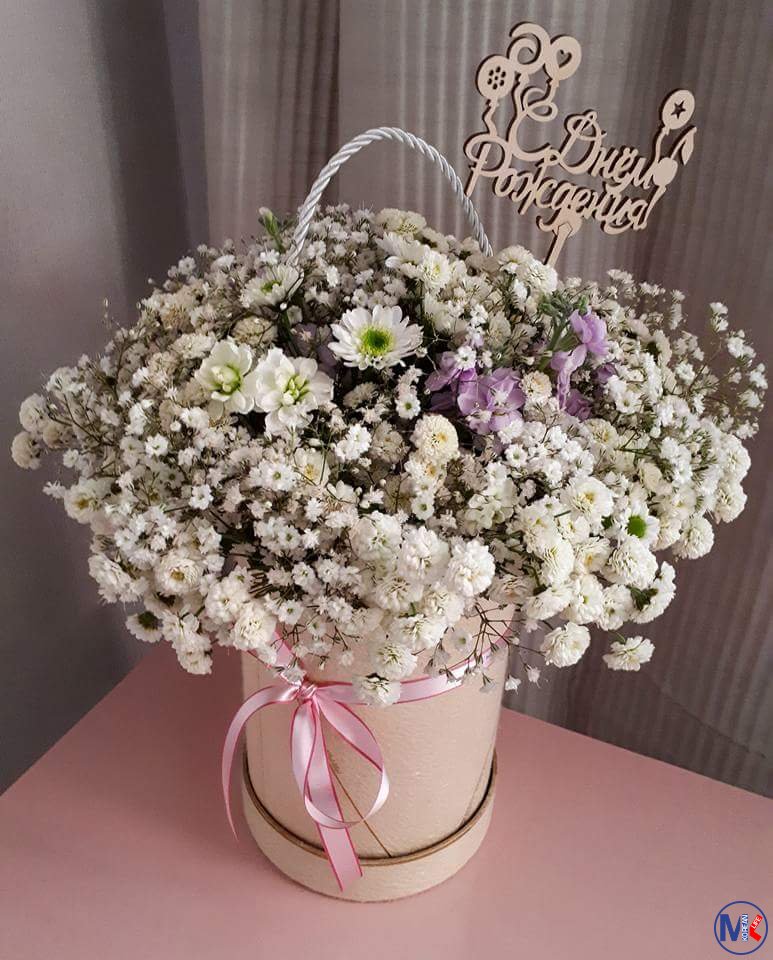 ???????? ?????? ?? ?.?????