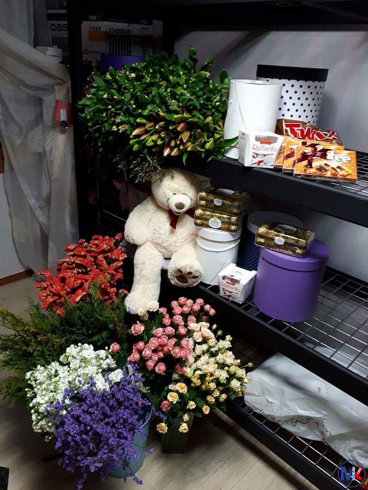 ???????? ?????? ?? ?.?????